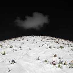 black, hill, landscape, dark night, winter, snowy, full of colorful flower, beautiful cloud, quiet, no people, anime background, illustration, sharp focus, intricate, smooth, super wide angle, trending on artstation, trending on deviantart