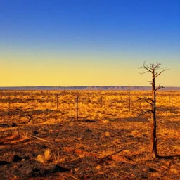 scorched forest landscape, style of albert bierstadt, digital art, vibrant, golden ratio
