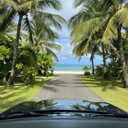 beautiful photograph of car in tropical area