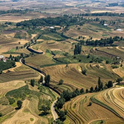 Landscape, with metashape