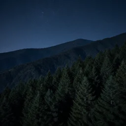 atmospheric photo of the forest in the mountains, night sky