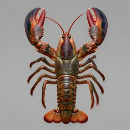 a female lobster human hybrid, extremely detailed, anthropomorphic