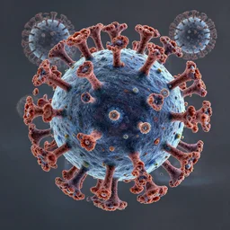 fractal virus