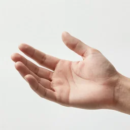 a photo of a human hand. 8k