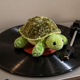 a tortoise plush toy on top of a vinyl record, dynamic lighting, photography
