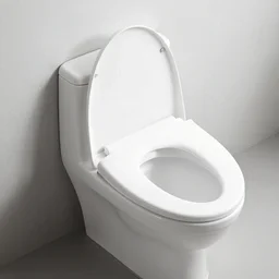 toilet bidet head, suit body