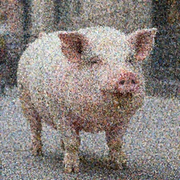 pig with a very fat belly in new york city