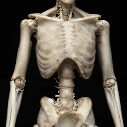 ugly, low detail, armature