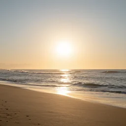 good morning sunshine