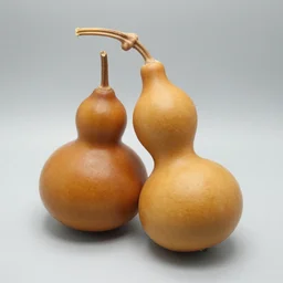 a gourd mixed with amber heard hybrid intercross