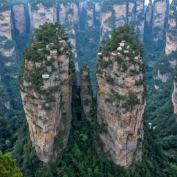 zhangjiajie national forest park