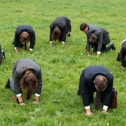 national geographic photo : men in suits on all fours grazing on grass on a meadow, ultrarealistic, photorealistic, intricate detail, photograph by anne leibovitz