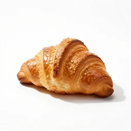 obsidian croissant, professional product shot, isolated on a pure white background, centered, entire object in frame, sharp focus, soft studio lighting