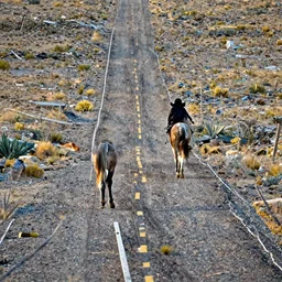 lone cowboy walking his horse down a road into the sunset, desert, real photo, photo realism, sad