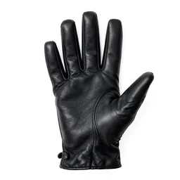 gothic leather gloves, high detail macro photography, isolated on a pure white background, centered, entire object in frame, sharp focus, soft studio lighting