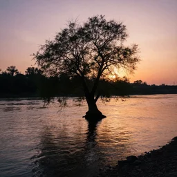 a tree in a river, sunset, retrowave