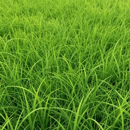 grass background, vector art, trending on artstation, 30mm, by Noah Bradley