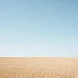 photo of a simple dreamlike expansive empty field with no trees, low angle shot