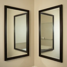 2 mirrors reflecting one another
