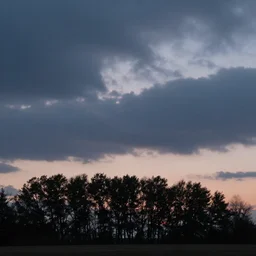 a peaceful scene, dusk, cinematic light, artstation, low clouds, ultra HD, treeline