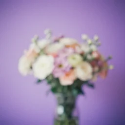 vintage grainy photograph, lavender background, blurry floral bouquet