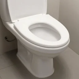 toilet bowl armor