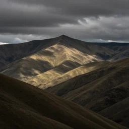 color landscape photo by michael frye, muted palette