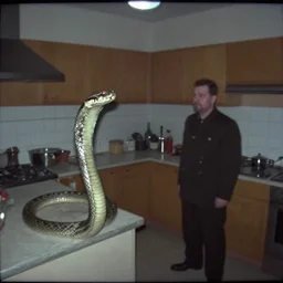 a giant snake and a man in a stalinist style kitchen, by mini dv camera, very very low quality, heavy grain, very blurry, accidental flash, webcam footage, found footage, security cam, caught on trail cam
