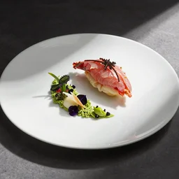 australian national food, presented beautifully on a white plate, michelin star