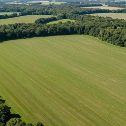 An Ariel view photo of vast countryside of grass and forests,, there are massive, tall stone ruins forming concentric circles. The stone ruins are repeating across the landscape.
