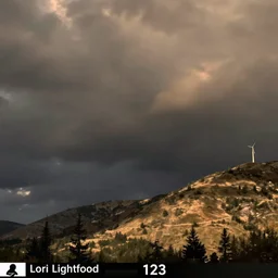 Lori Lightfoot trail cam footage