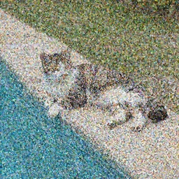 a cat lounging by a pool