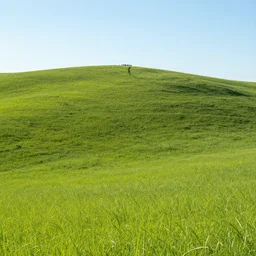 beautiful hill going down to a prairie