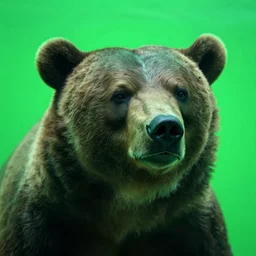 an undead bear underwater, close up, bright green light, high quality, sharp focus, sigma 8 5 mm