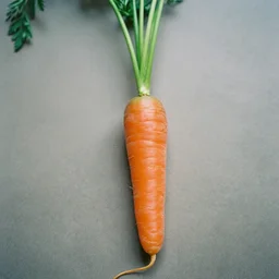 film still a walking carrot, leica sl 2 5 0 mm, vivid color, high quality, high textured, real life