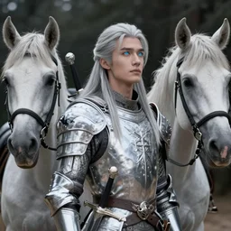 in the center of the frame is vanyel ashkevron, looking off into the distance with a wistful expression. he has long silver hair and shining blue eyes. he is wearing his trademark silver armor and has his longsword strapped to his side. to vanyel's right is yfandes, his companion. she is a beautiful silver - white mare, and she is nu