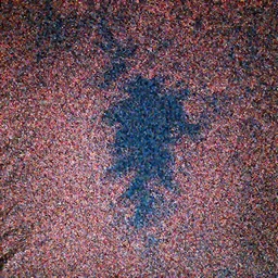 peering upward toward a canopy of pink leaves against a starry night sky, realistic