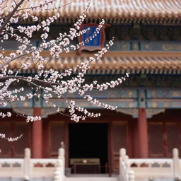 spring in the forbidden city, peach blossom, prometheus film style, realistic, cinematic, trending on artstation, 8 k,
