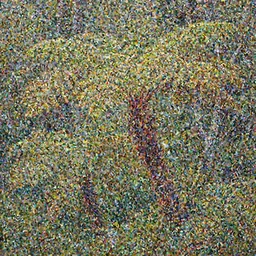 golden bay new zealand, abel tasman, native NZ bush ferns, colorful oil painting, trending on artstation