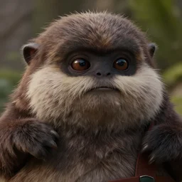 obese ewok brawling, detailed face, cinema still