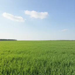 gm _ flatgrass, scenic view