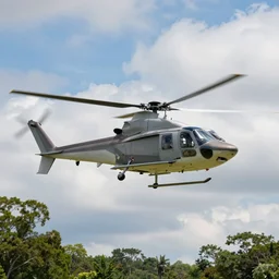 a shark helicopter landing, hyper detailed, trees, clouds, photograph, imax