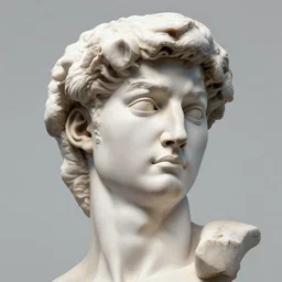 a 3 d render of the head of david marble statue, in the style of michelangelo