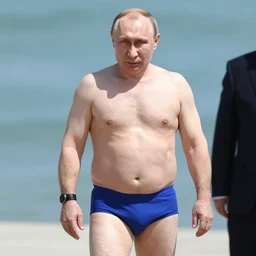 vladimir putin wearing a bikini