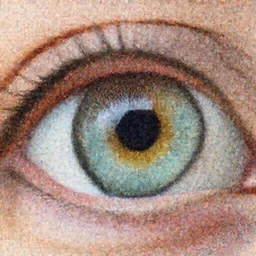extreme closeup of an eye, human iris, high resolution image, canon 100mm macro lens focus stacked