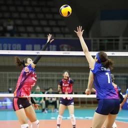 female bodybuilders playing volleyball
