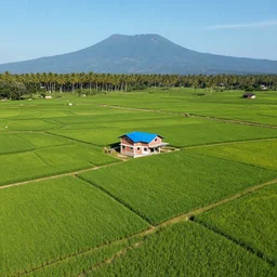 wide angle perspective view, aerial photo of bright green rice fields on terraced mountain farm, a small 2 stories red white brick house with blue rooftop in the middle, coconut palm vegetation in the horizon, majestic mountain and clear blue sky in the far background, sony ilce - 6 5 0 0 3 5 mm aperture f / 9 shutter 1 / 6 4 0 s