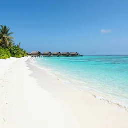 a picture of the Maldives on a beach