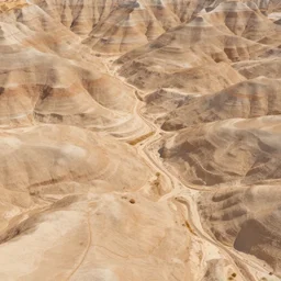 aerial overhead close up shot of badlands ground in a vector art screen print wood block style with tuft grass and rocks in golden hour lighting