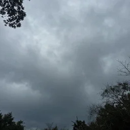 a weird thing is in the sky, we should escape, its not safe out here... it's coming.... it will kill us!